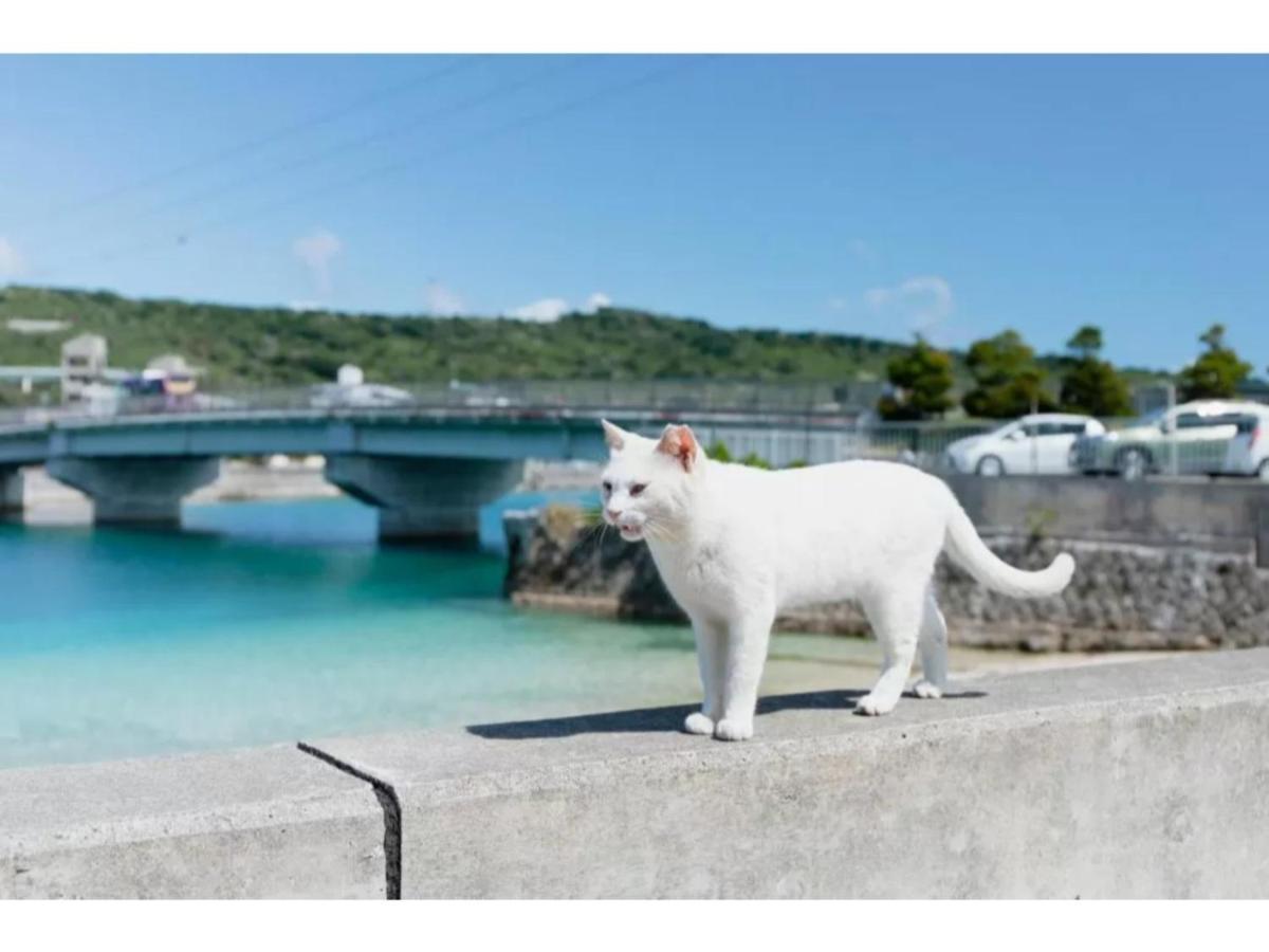 Hotel Pescatore Okinawa - Vacation Stay 20882V Naha Kültér fotó