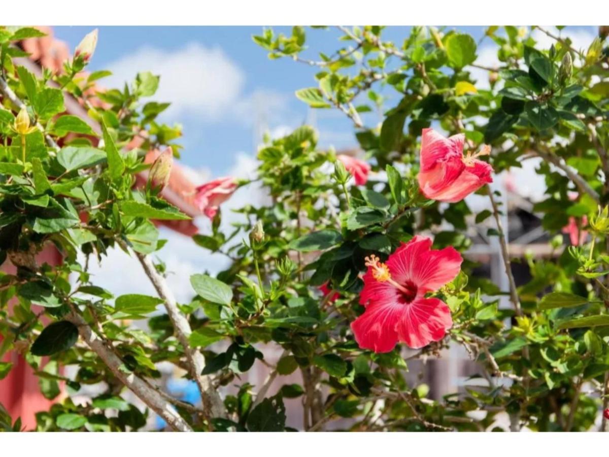 Hotel Pescatore Okinawa - Vacation Stay 20882V Naha Kültér fotó